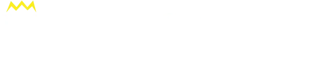 Volta Strom Logo