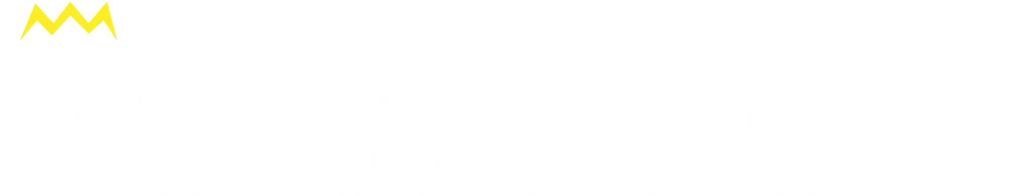 Volta Strom Logo